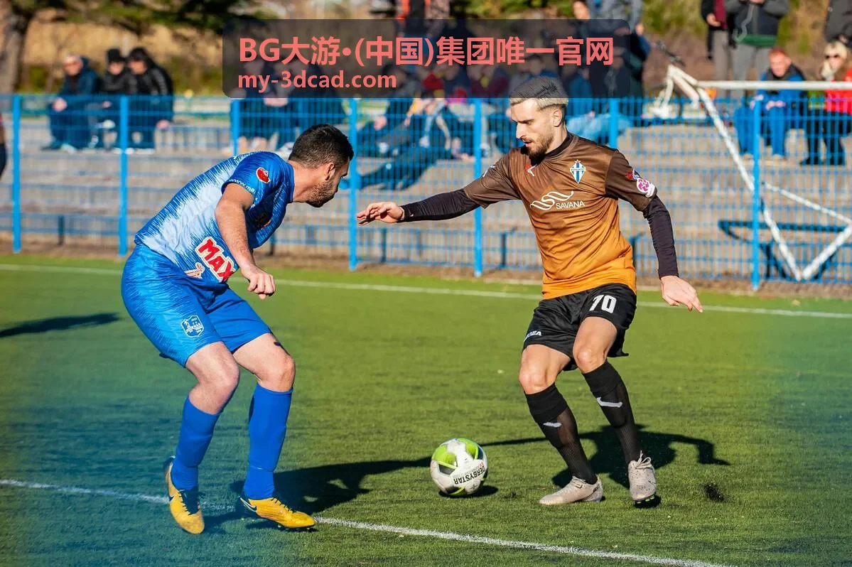 BG大游集团投资管理业务展示